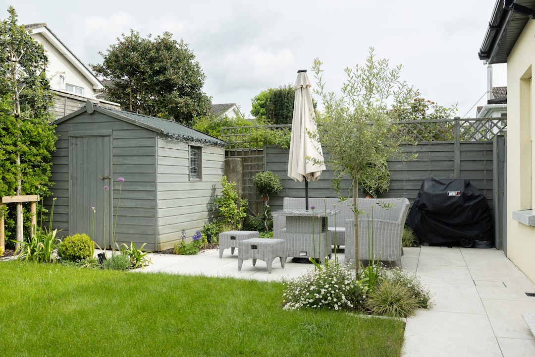 Landscaped backyard garden with plants and paving